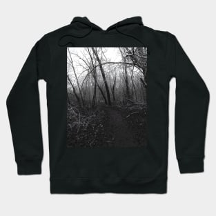 Winter sorrow path Hoodie